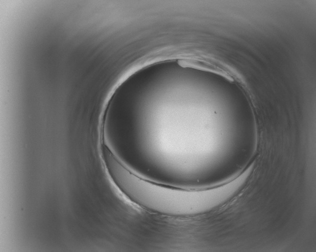 X0000064041528200602031544