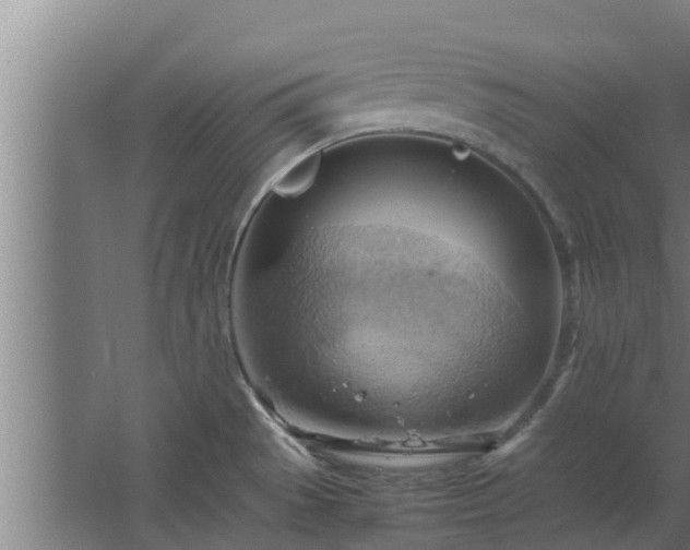 X0000064041529200602031544