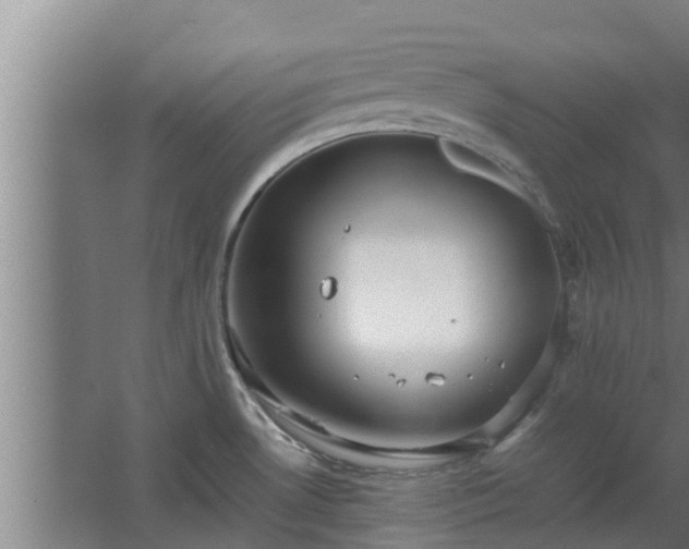 X0000064041530200602031544