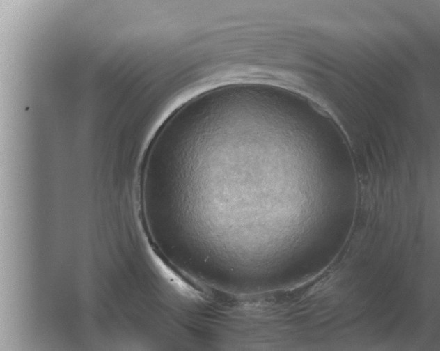 X0000064041531200602031544