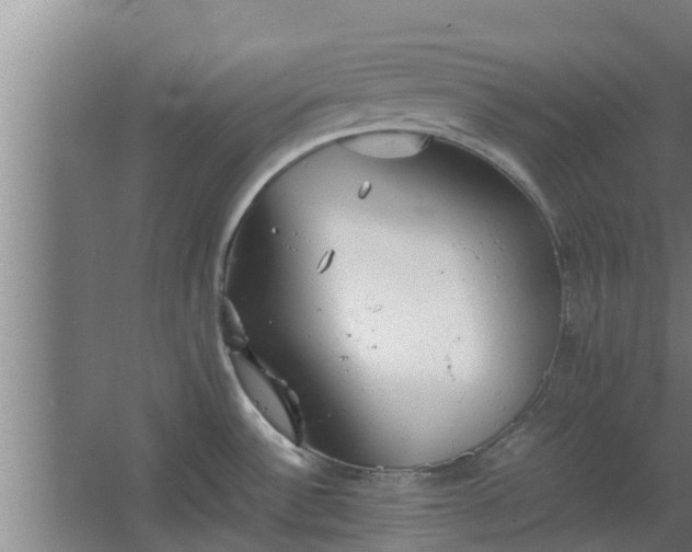 X0000064041532200602031544