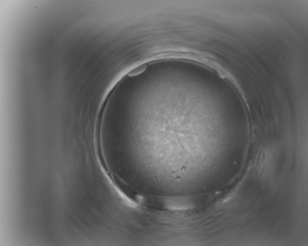 X0000064041533200602031544