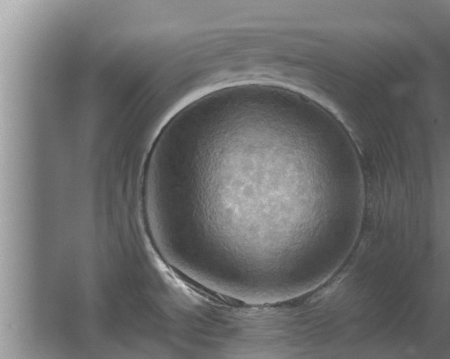 X0000064041534200602031544