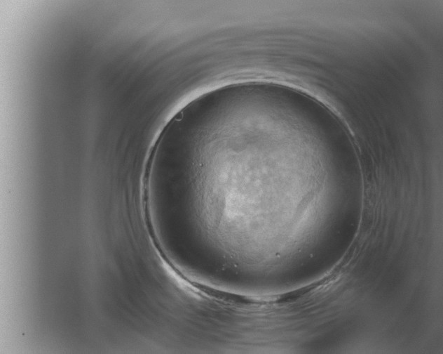 X0000064041535200602031544