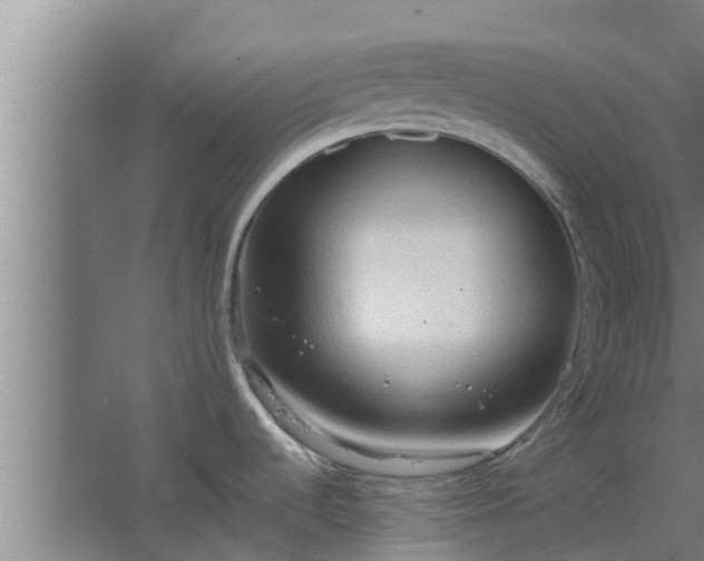 X0000064041536200602031544