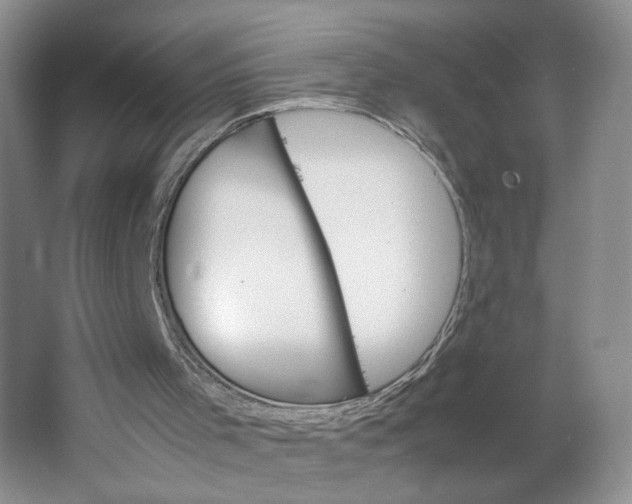 X0000064040001200602101437