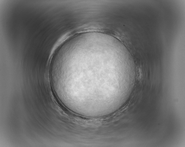 X0000064040004200602101436