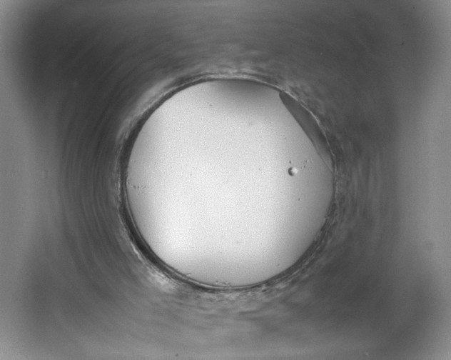 X0000064040005200602101436