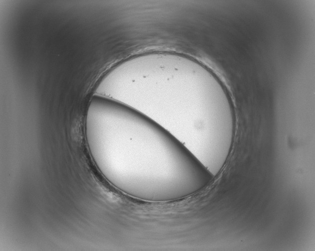 X0000064040009200602101436