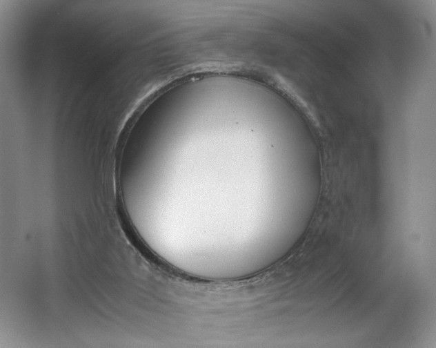 X0000064040011200602101436