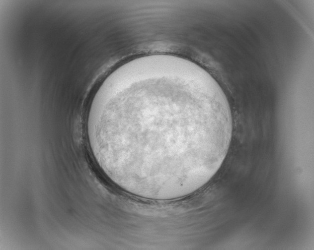 X0000064040012200602101436