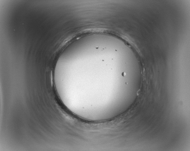 X0000064040013200602101436