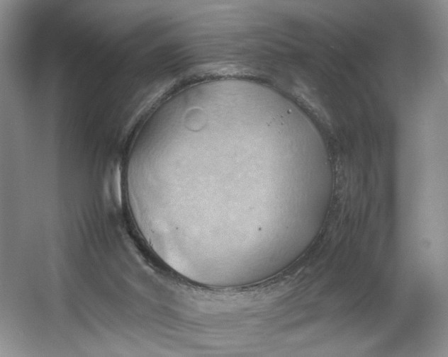 X0000064040014200602101436