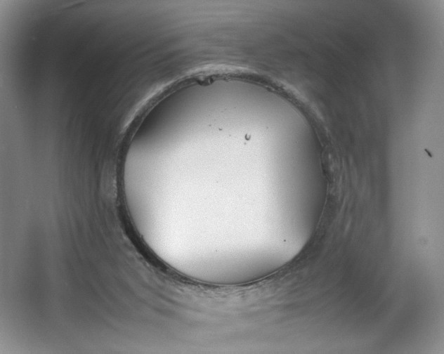 X0000064040015200602101436