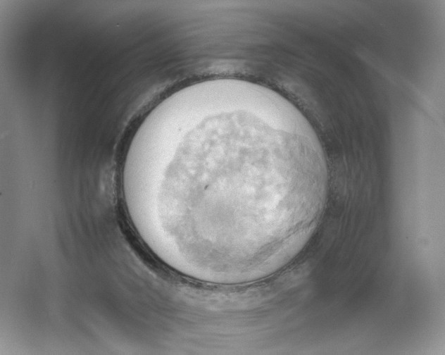 X0000064040016200602101436