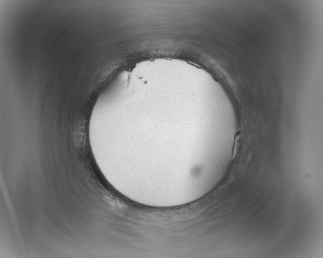 X0000064040017200602101436