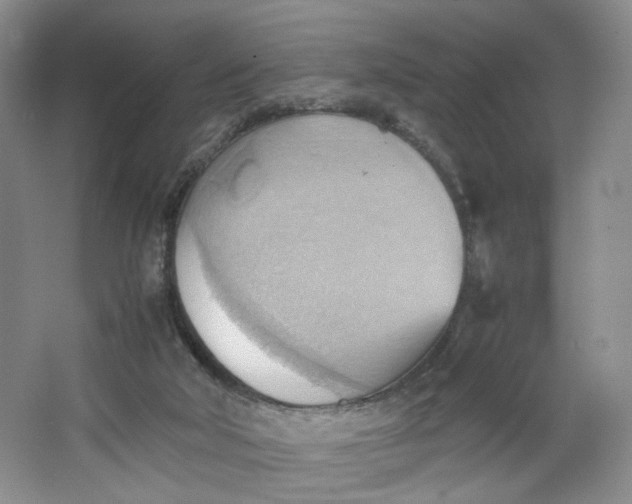 X0000064040018200602101436