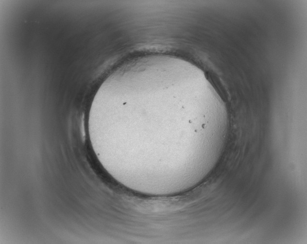 X0000064040020200602101436