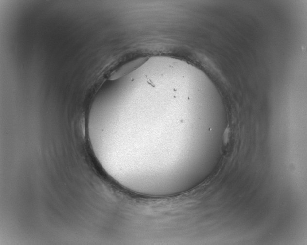 X0000064040021200602101436