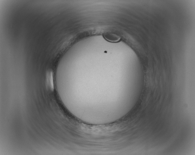 X0000064040022200602101436