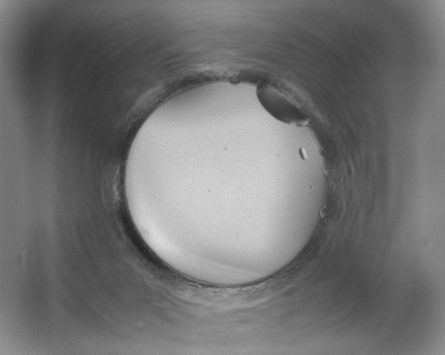 X0000064040023200602101436