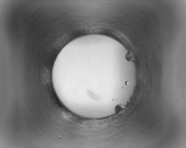 X0000064040025200602101436