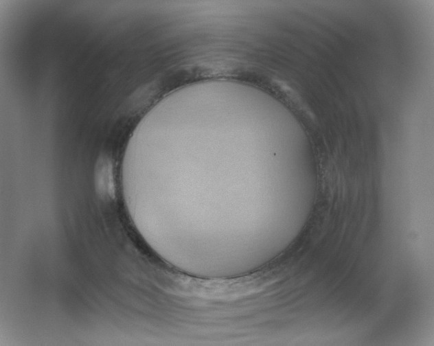 X0000064040026200602101436