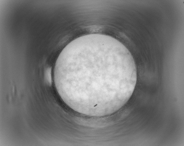 X0000064040028200602101436