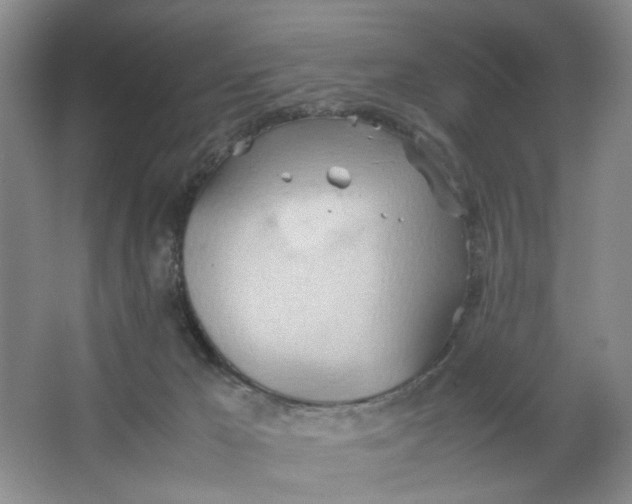 X0000064040029200602101436