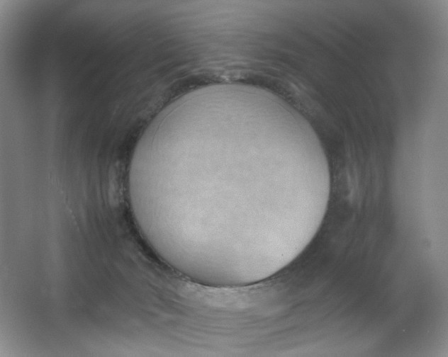 X0000064040030200602101436