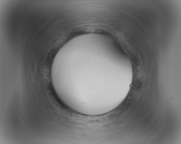 X0000064040031200602101436