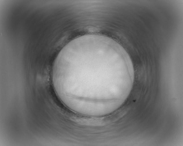 X0000064040032200602101436