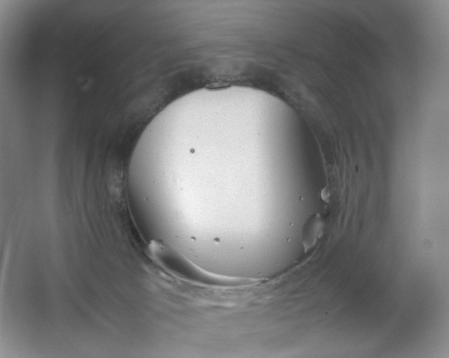 X0000064040033200602101436