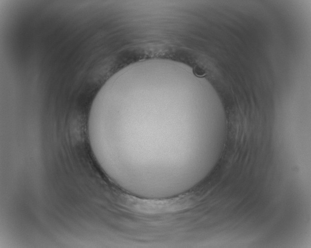 X0000064040034200602101436