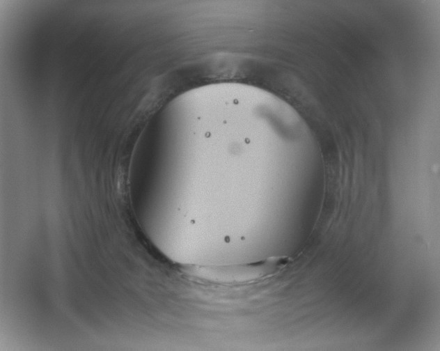 X0000064040035200602101436