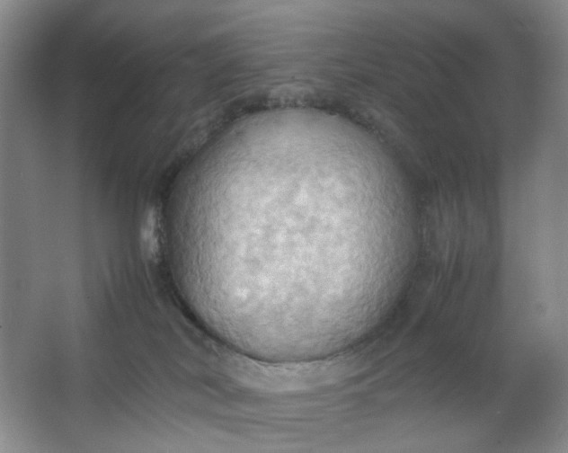 X0000064040038200602101436