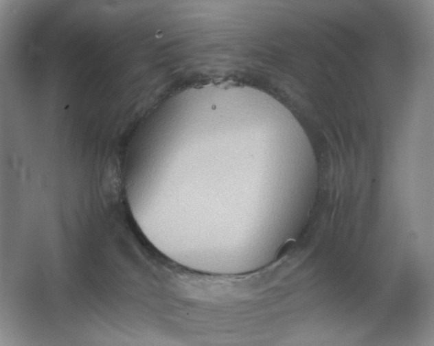 X0000064040040200602101436