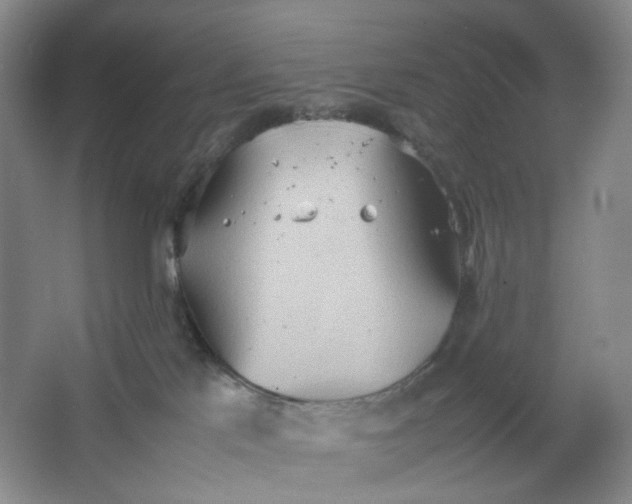 X0000064040041200602101436