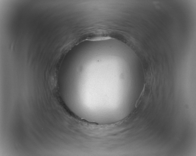 X0000064040043200602101436