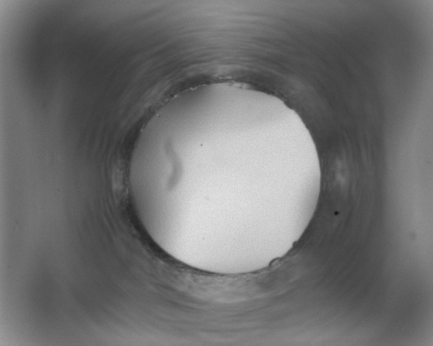 X0000064040044200602101436