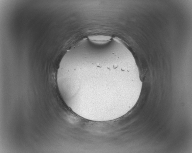 X0000064040045200602101436