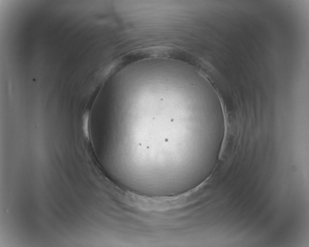 X0000064040047200602101436