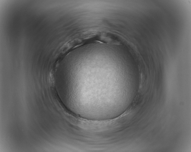 X0000064040048200602101436