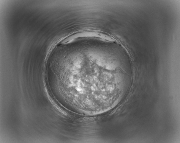 X0000064040049200602101435