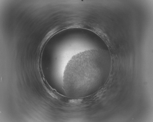 X0000064040051200602101435