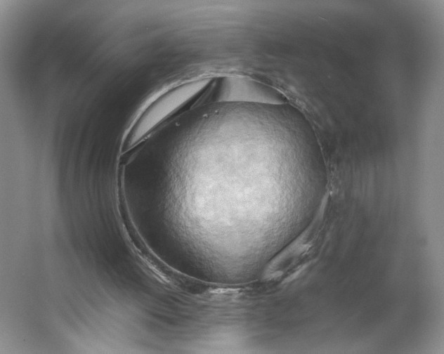 X0000064040052200602101435