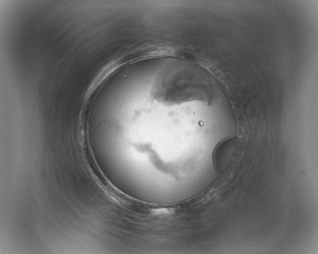 X0000064040053200602101435