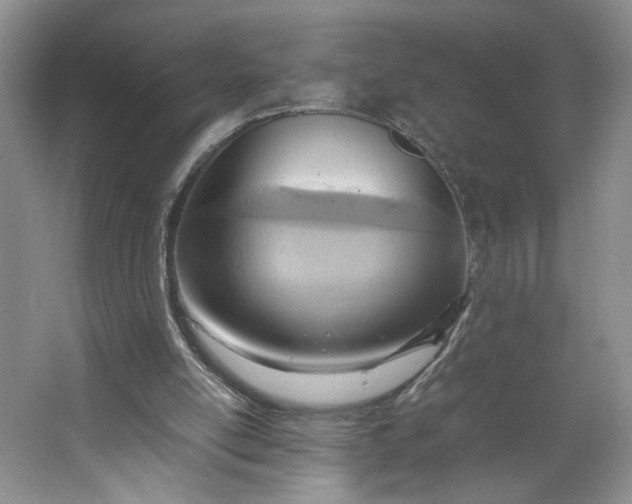 X0000064040054200602101435