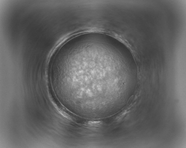 X0000064040055200602101435