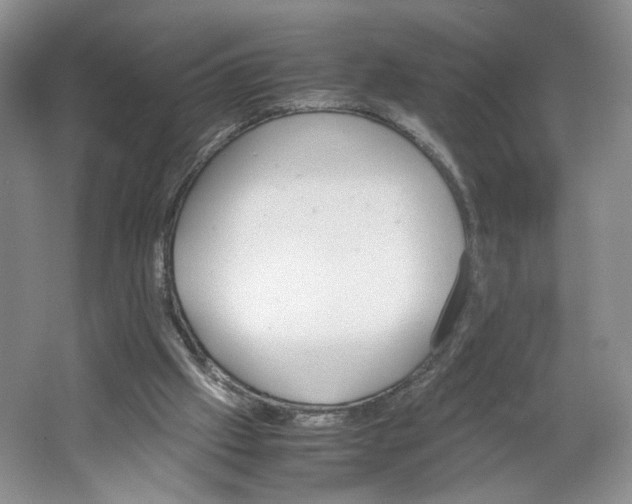 X0000064040057200602101435